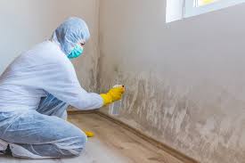 Best Emergency Mold Remediation  in Landis, NC