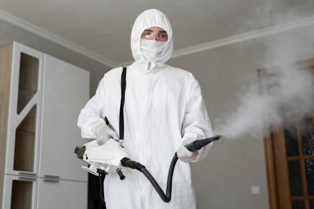  Landis, NC Mold Removal & Remediation Pros